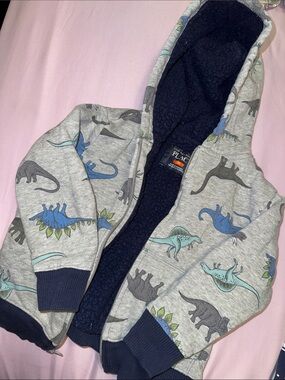 The Children's Place Gray Dino Zip Hoodie with Navy Lining